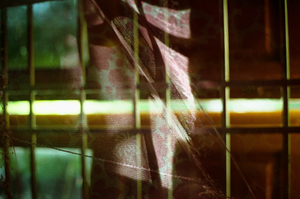 vignette_42