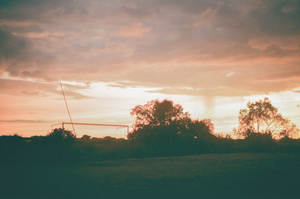 vignette_46