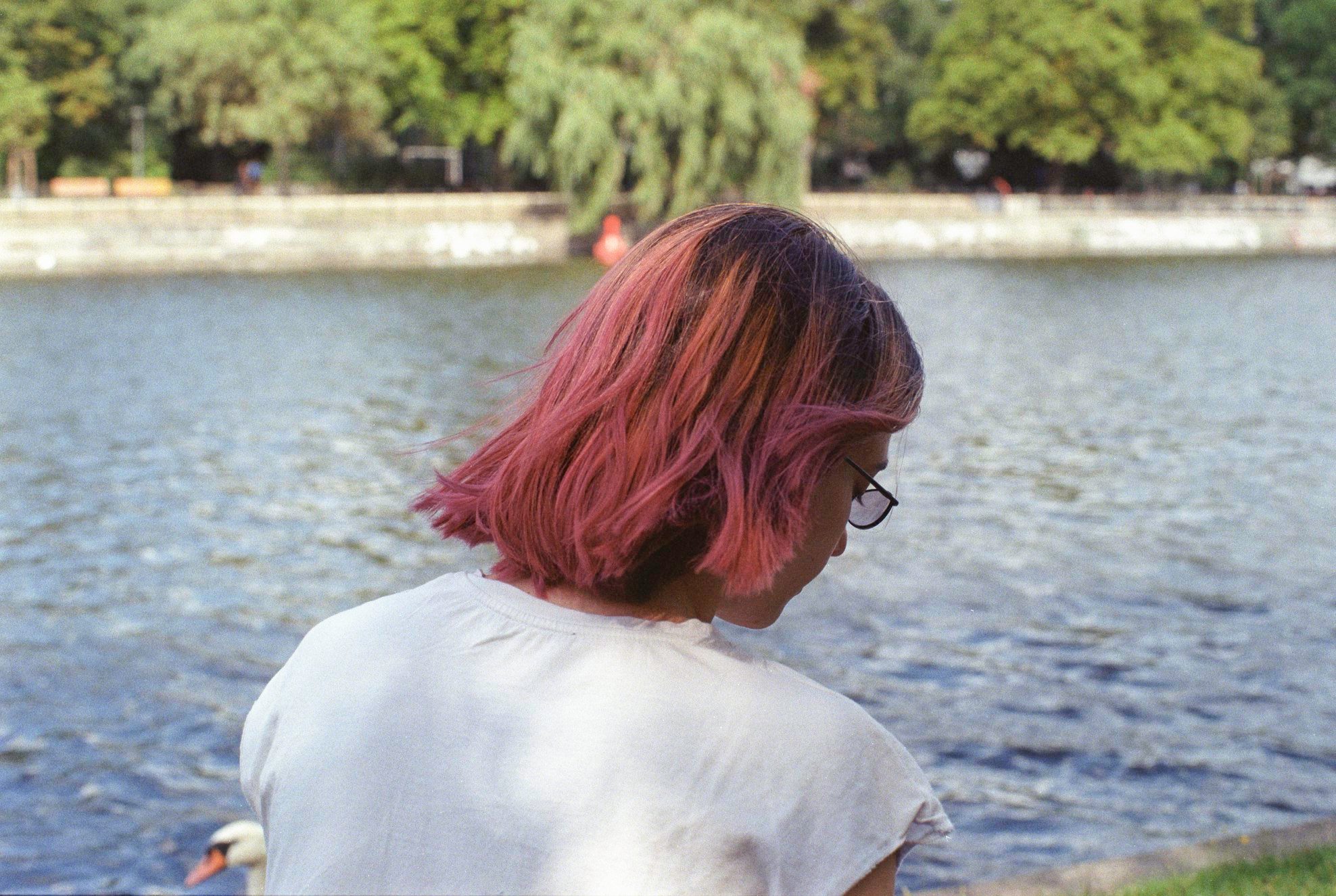 album-photo