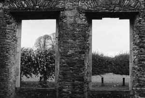vignette_04