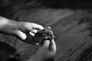 vignette_06