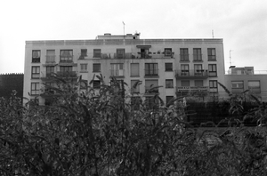 vignette_14