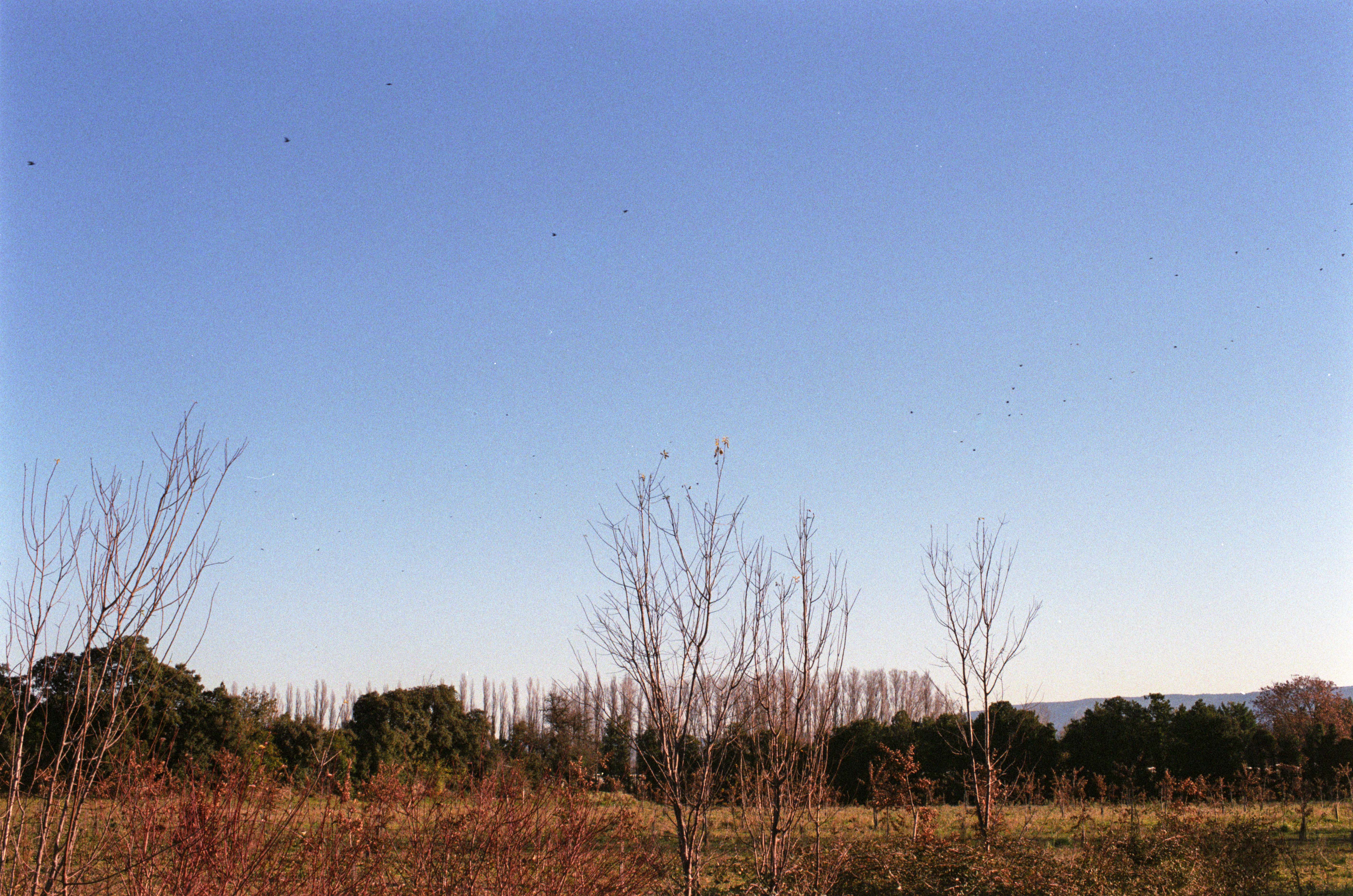 album-photo
