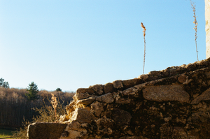 vignette_04