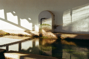 vignette_18