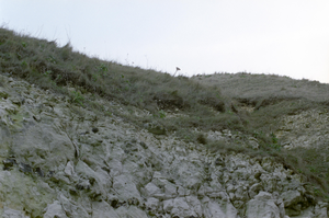 vignette_04