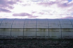 vignette_04