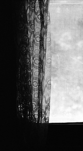 vignette_15
