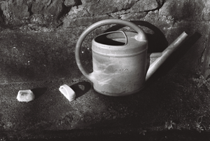 vignette_03