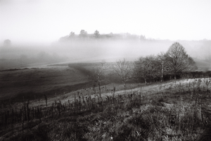 vignette_05