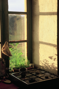 vignette_11