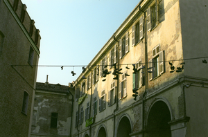 vignette_16